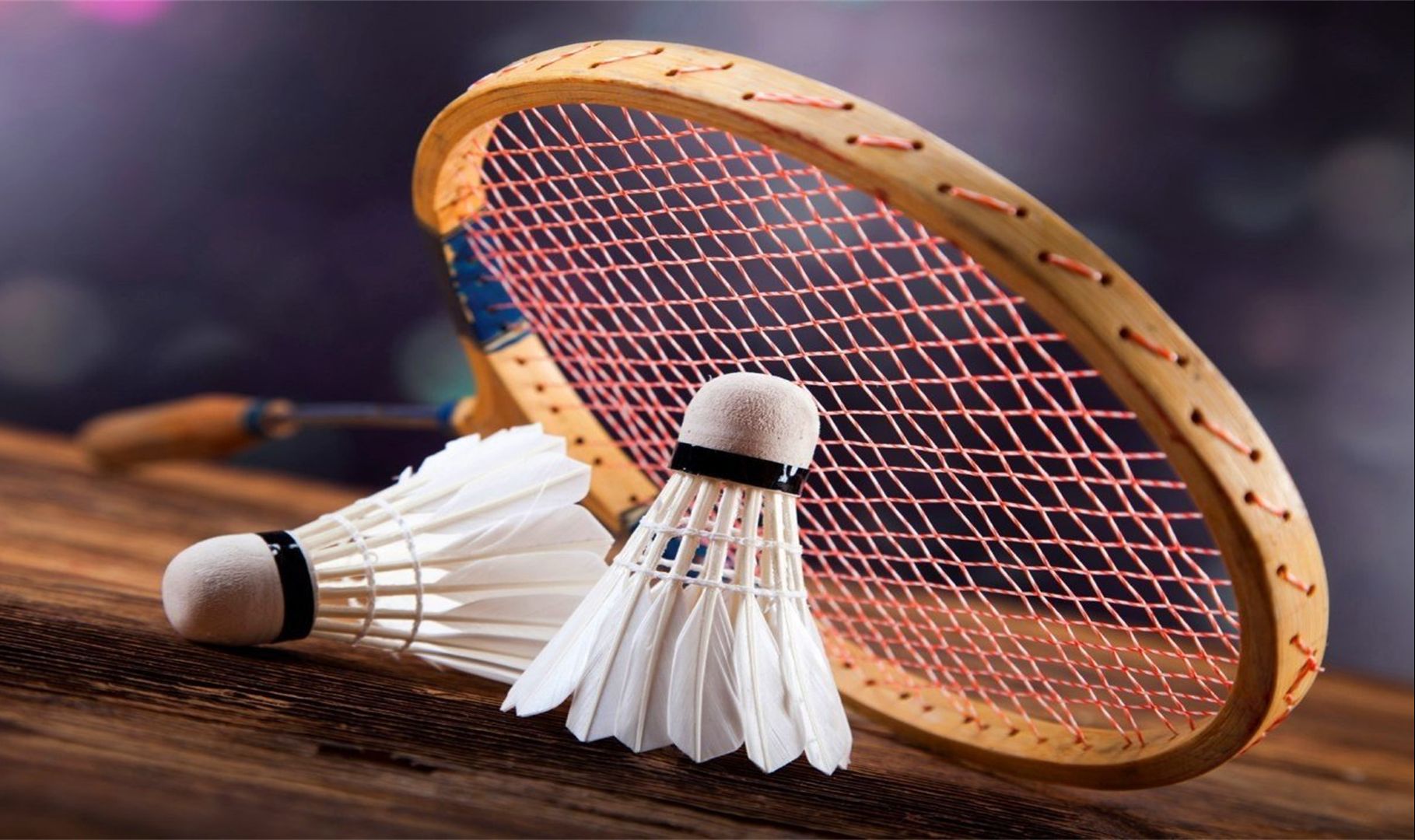 全新奖励机 全新奖励机