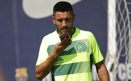 投身于游泳 投身于游泳